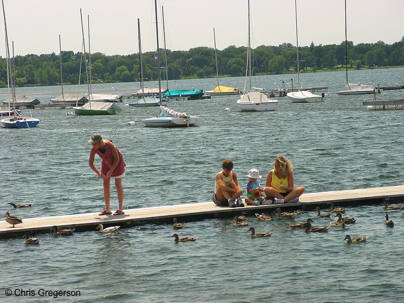 Photo of Feeding Ducks on Lake Calhoun(2256)