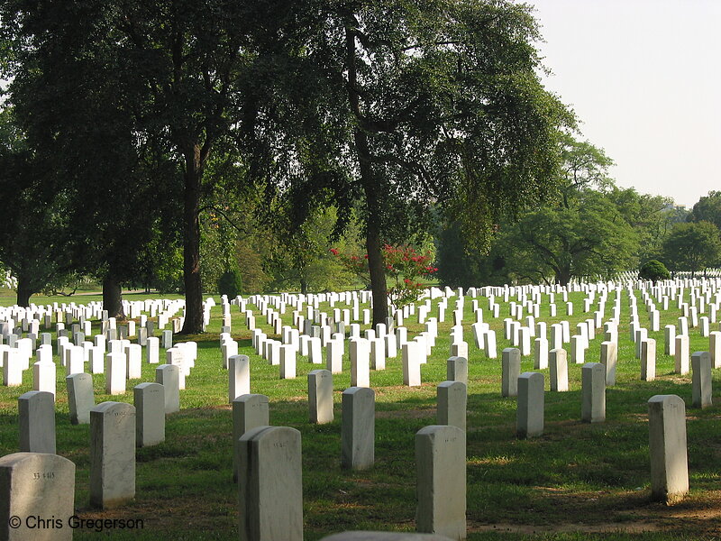 Photo of Arlington National Cemetery(2395)