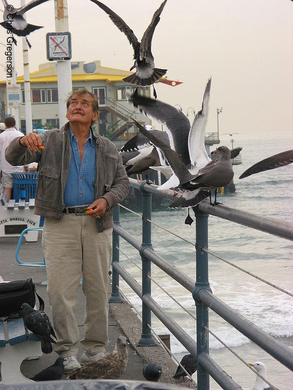 Photo of Man Feeding Seagulls, Santa Monica Pier(2616)