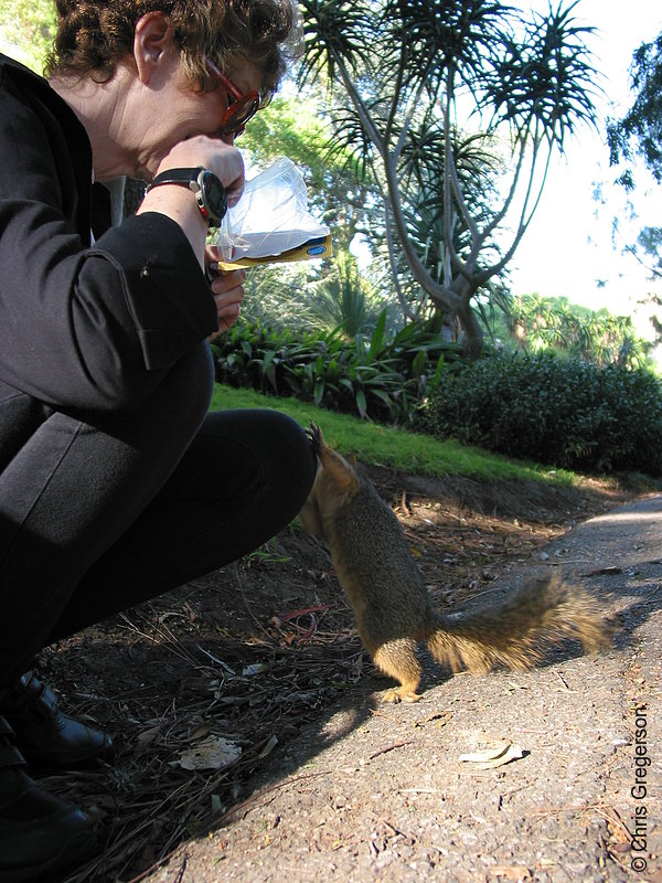 Photo of Squirrel on Linda's Knee(2679)
