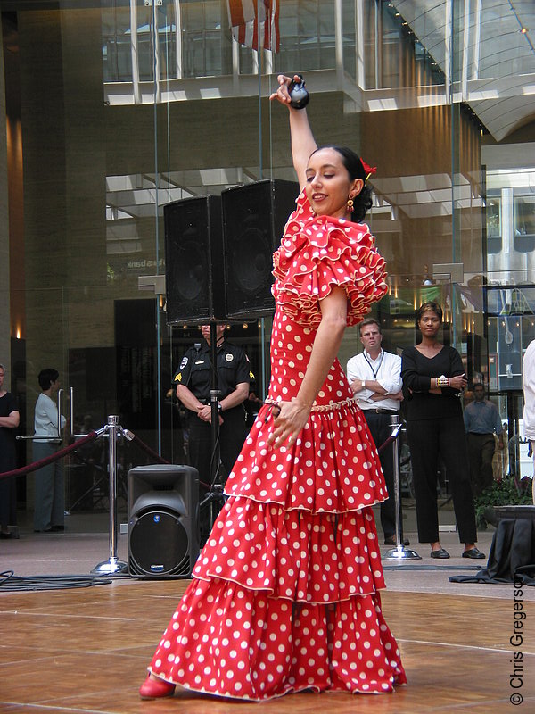 Photo of FUEGO Flamenco(2831)