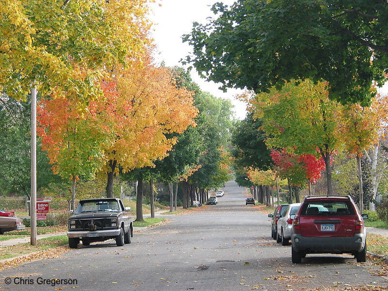Photo of Fall Colors on Residential Street(2956)