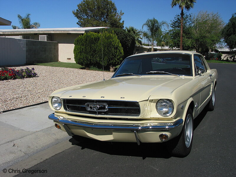 Photo of 1965 Ford Mustang(3011)