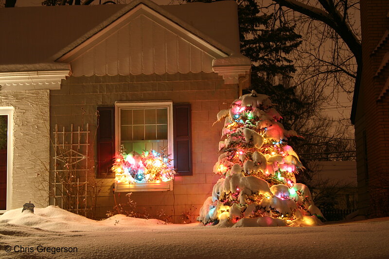 Photo of Christmas Tree with Lights Covered in Snow(3044)