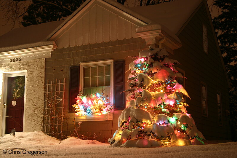 Photo of House and Christmas Tree at Night(3045)