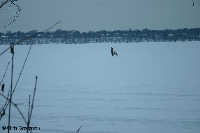 Photo of Man Walking Dog on Frozen Lake(3063)
