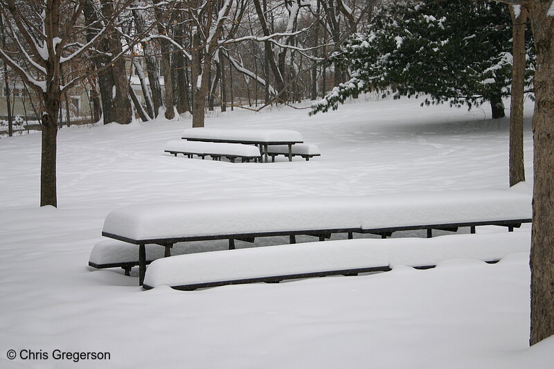 Photo of Picnic Benches in Winter(3075)