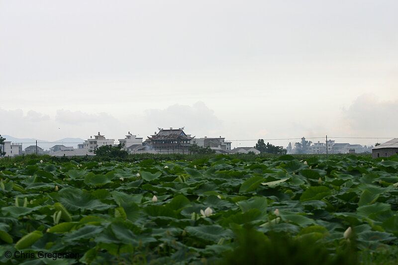 Photo of Farm Field and Traditional Chinese Building(3445)