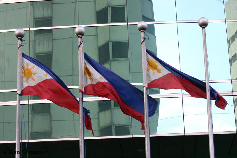 Photo of Flag of the Republic of the Philippins(4155)