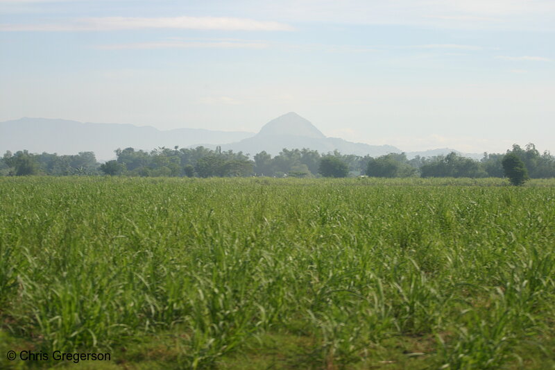 Photo of Filipino Farmland(4347)
