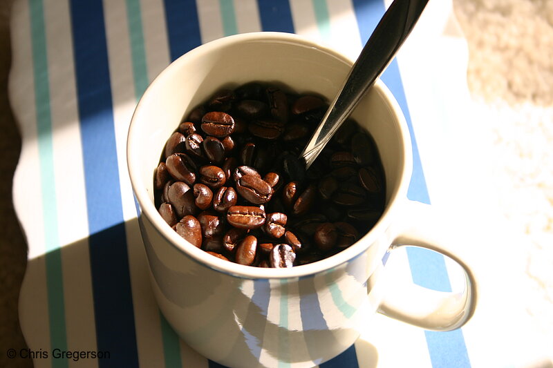 Photo of Roasted Coffee Beans in Coffee Cup(4383)