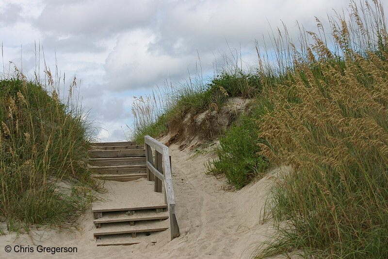 Photo of Stairs Leading to the Beach, Bald Head Island(4955)