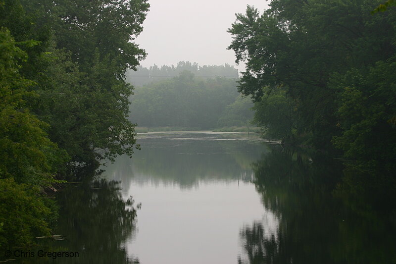 Photo of Calm Water Chanel with Trees(5005)