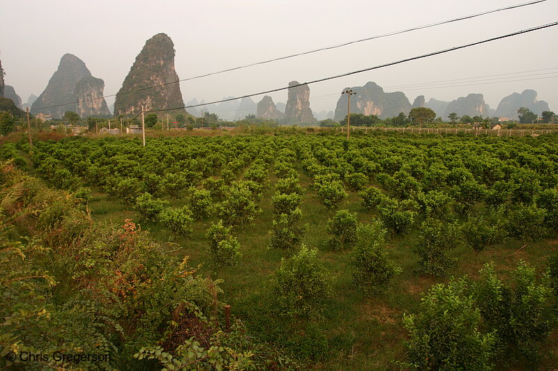 Photo of Farm Field and Kurst Mountains, China(5075)