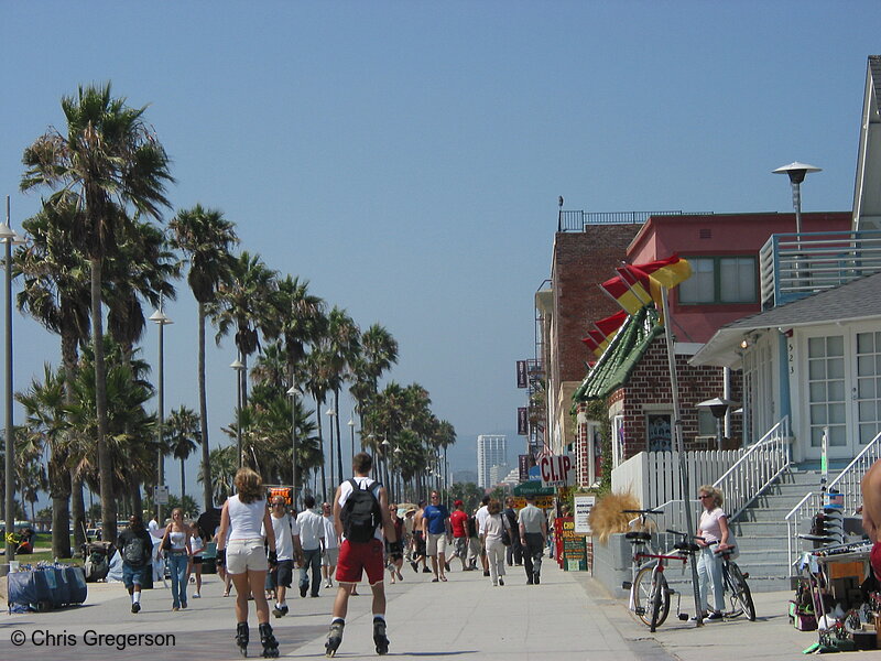 Photo of Tourists Walking on the Venice Beach Strand(5297)