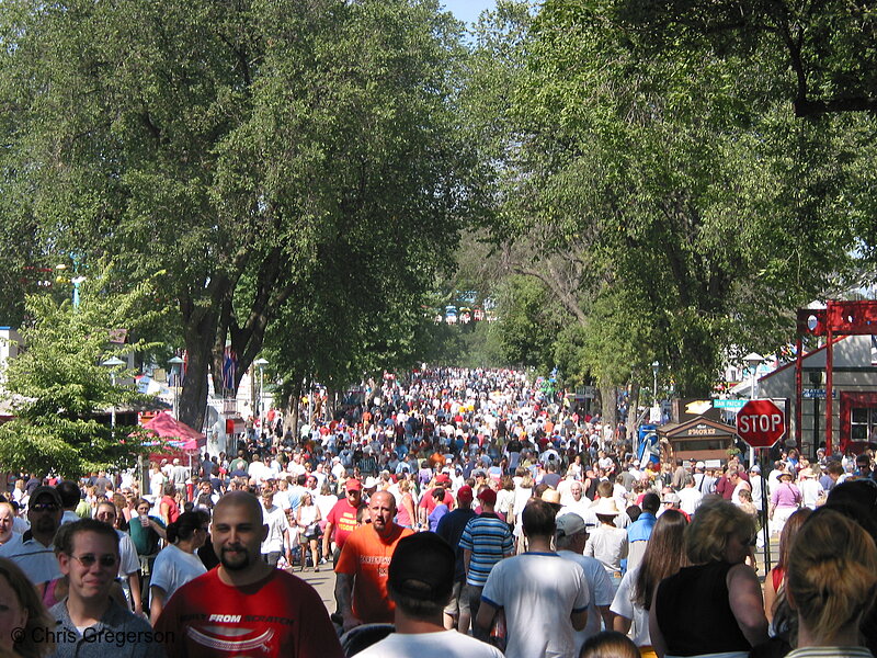 Photo of Crowd at the Minnesota State Fair(5326)