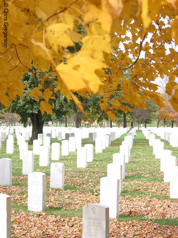 Photo of Fort Snelling National Cemetery(5355)