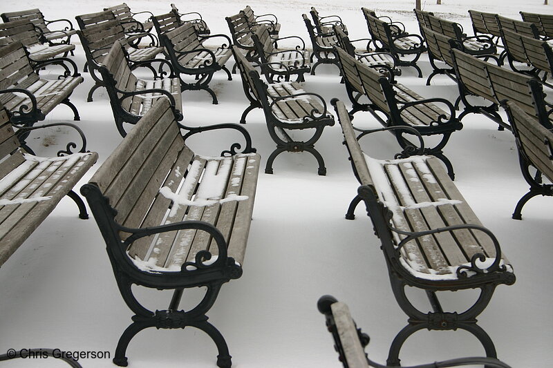 Photo of Rows of Empty Benches in Winter(5438)