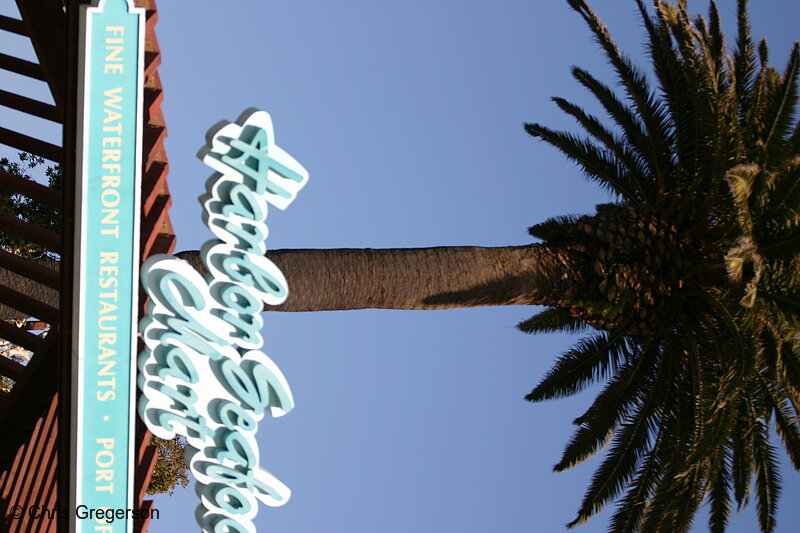 Photo of Palm Tree and the Harbor Seafood Mart, Seaport Village(5596)