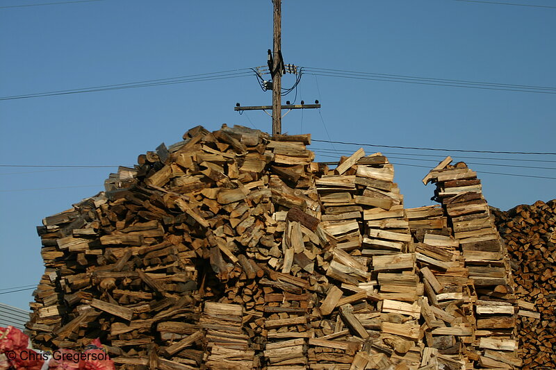 Photo of Mountain of Stacked Firewood Against a Blue Sky(5609)