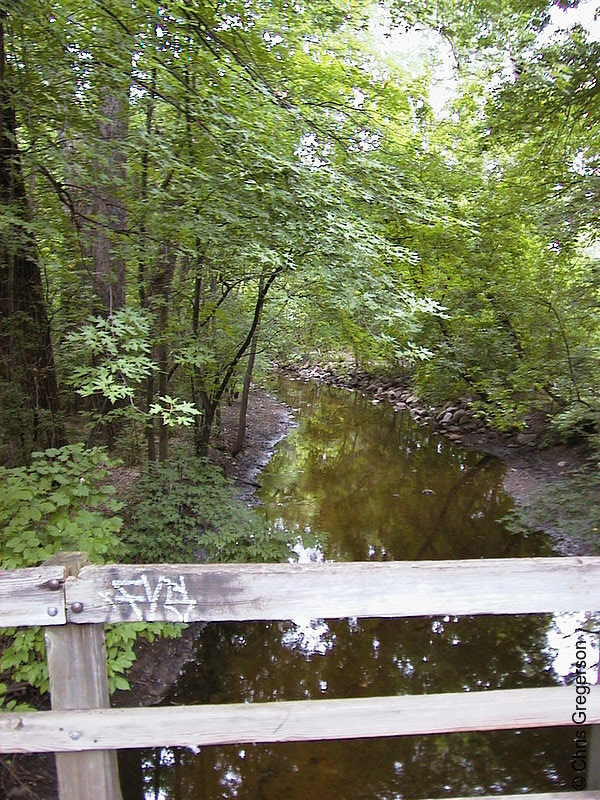 Photo of Minnehaha Creek in Summer(565)