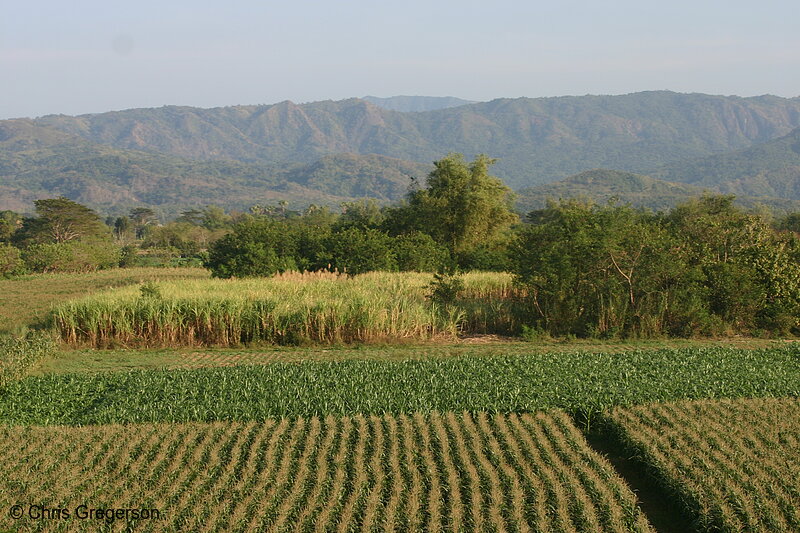 Photo of Farm Land in the Province of Ilocos Sur, Philippines(5691)