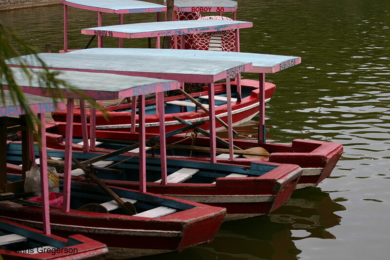 Photo of Empty Rowboats at the City Lagoon in Burnham Park, Baguio City, Philippines(5740)