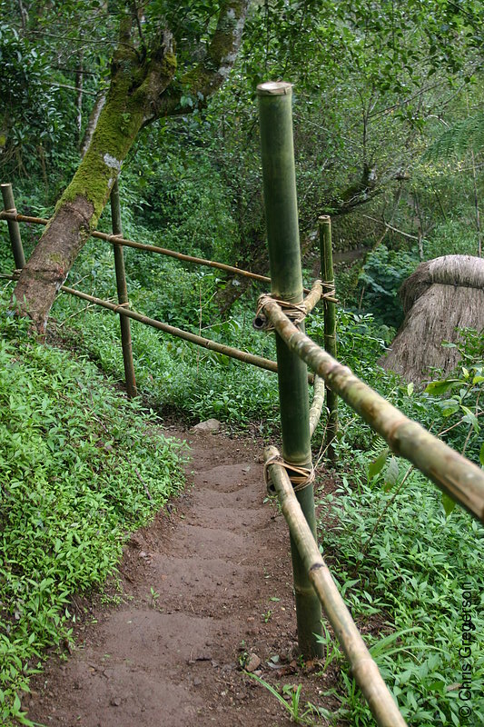 Photo of Trail with Steps at the Tam-Awan Village, Baguio City(5790)