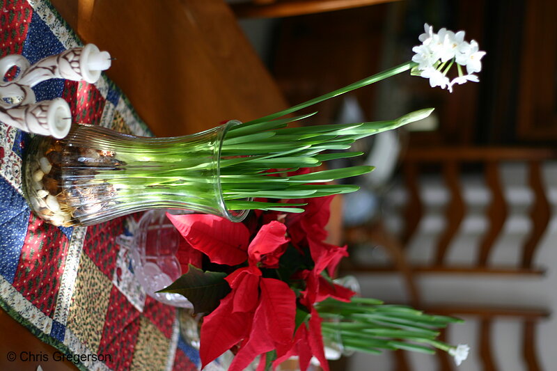 Photo of Flowers and Pointsettias on a Dining Room Table Setting(6227)