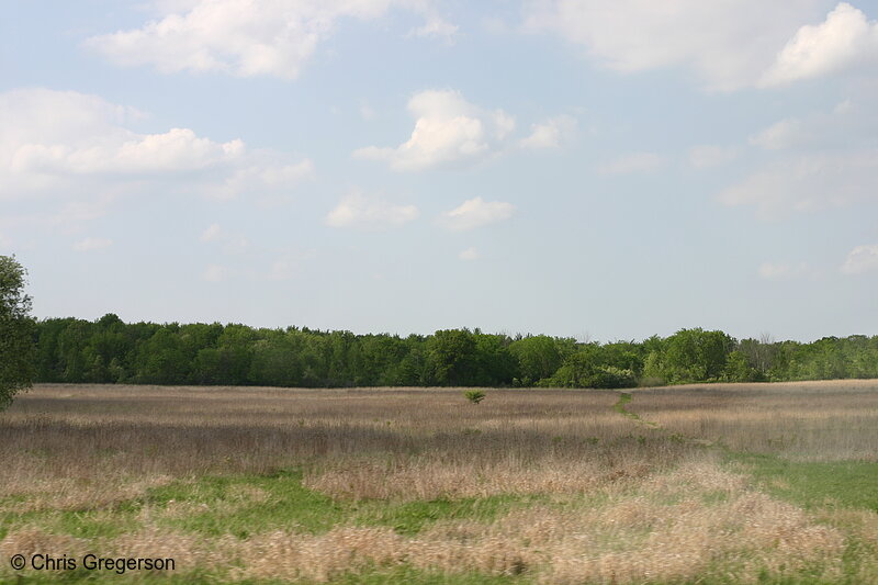 Photo of Grass Field in Rural Wisconsin(6319)