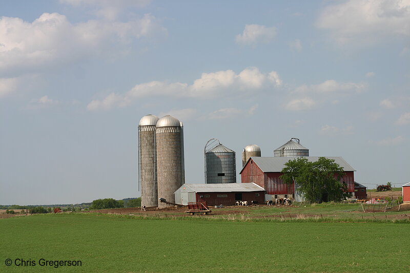 Photo of Silos on Rural Wisconsin Farm(6321)