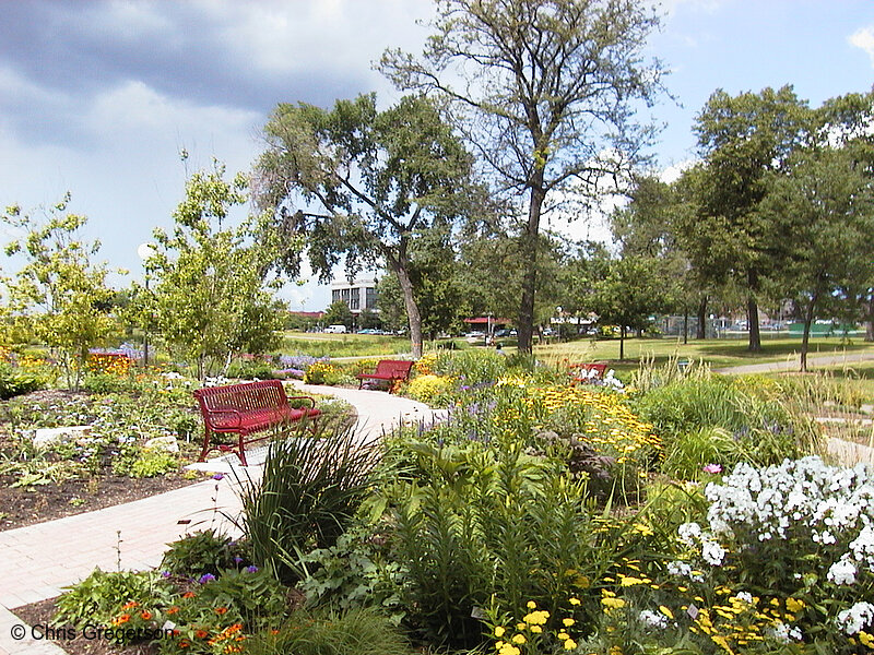 Photo of Loring Park Flower Garden(637)