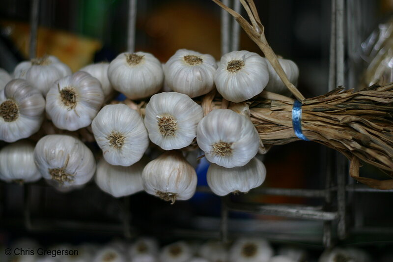 Photo of Pinili Garlic from Ilocos Norte, the Philippines(6472)