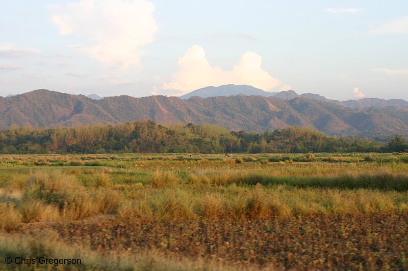 Photo of Farm Fields and Mountains, Ilocos Norte, the Philippines(6673)