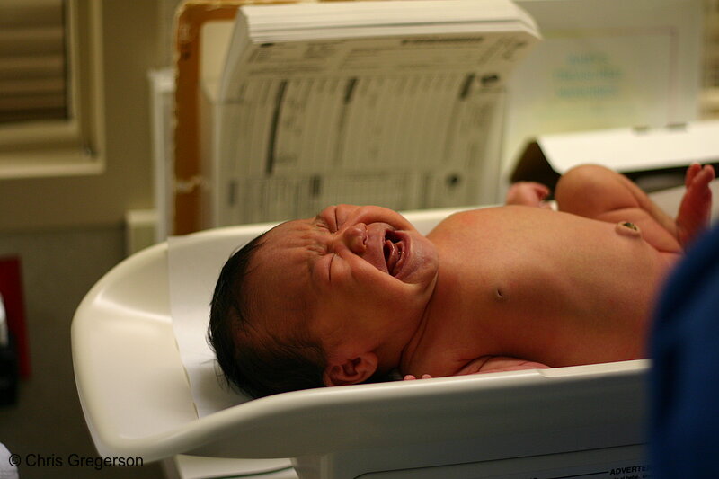 Photo of Baby Crying as She's Weighed in the Hospital(6760)