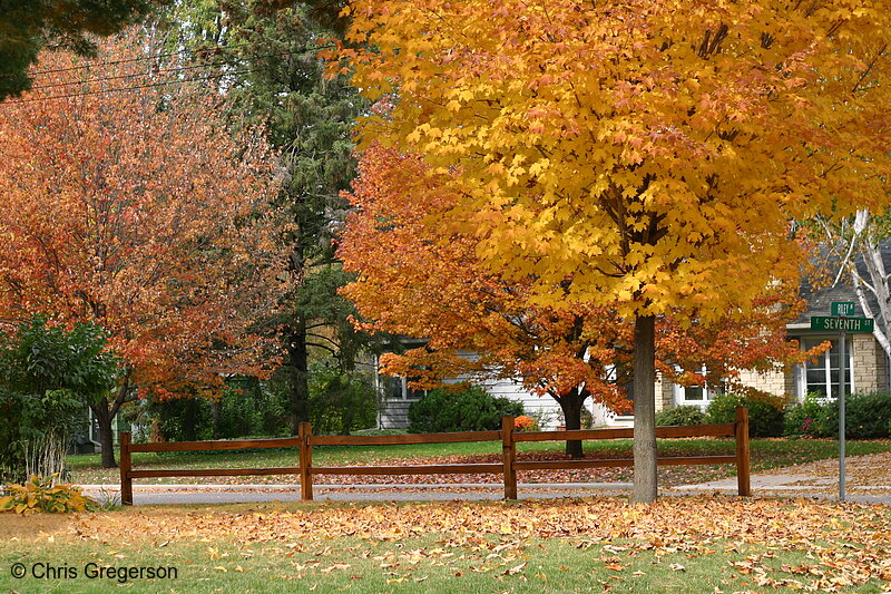 Photo of Autumn in New Richmond, WI(7183)