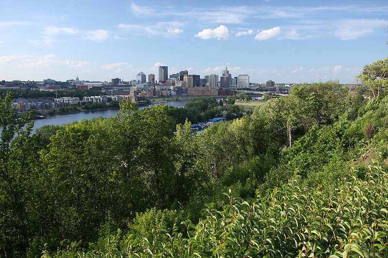 Photo of Mississippi River and Downtown St. Paul(7257)