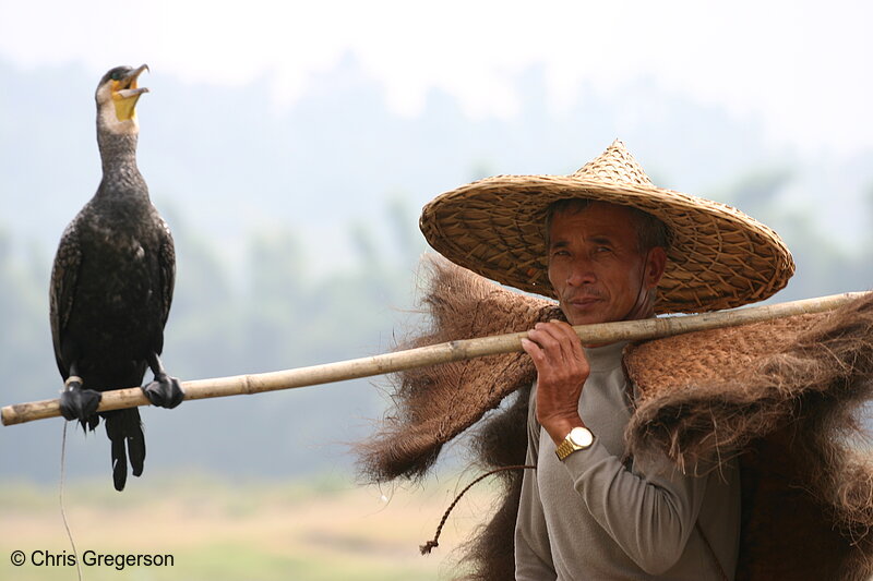 Photo of Traditional Fisherman, Li River, China(7264)