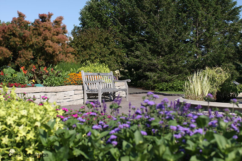 Photo of Bench at Arboretum Flower Garden(7340)
