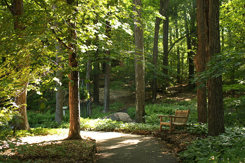 Photo of Walking Path, Minnesota Landscape Arboretum(7354)