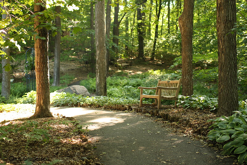 Photo of Park Bench, Minnesota Landscape Arboretum(7356)