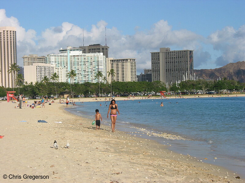 Photo of Beach in Honolulu, Hawaii(7627)