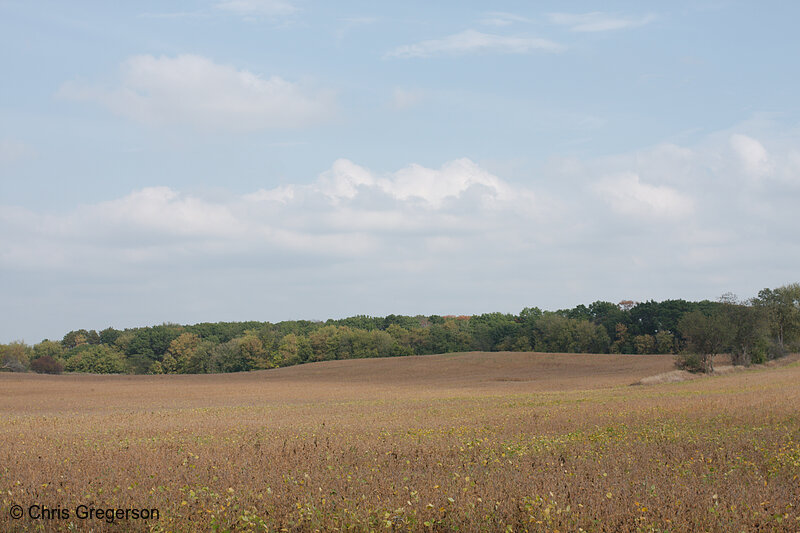Photo of Fields East of 140th Street, New Richmond, WI(7954)