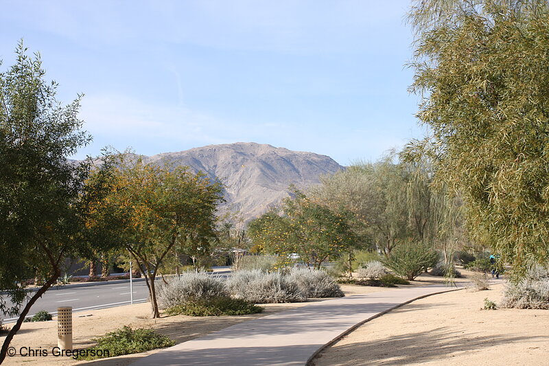Photo of Fred Waring Drive in Palm Desert, CA(8033)