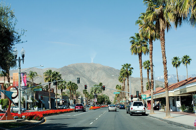 Photo of El Paseo Drive in Palm Desert(8203)