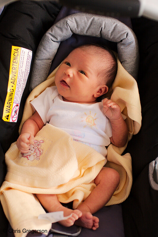 Photo of Newborn Baby Clio in her Car Seat(8273)
