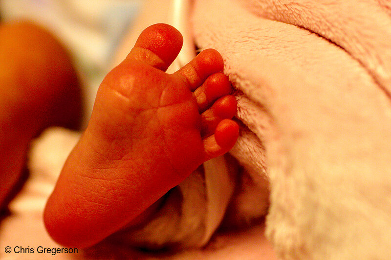 Photo of Newborn Baby's Foot(8277)