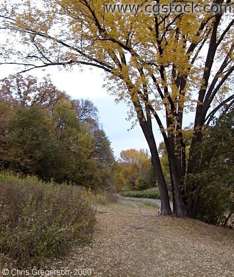 Minnehaha Creek in Fall