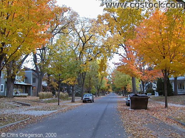 Fall Colors on Emerson Avenue South