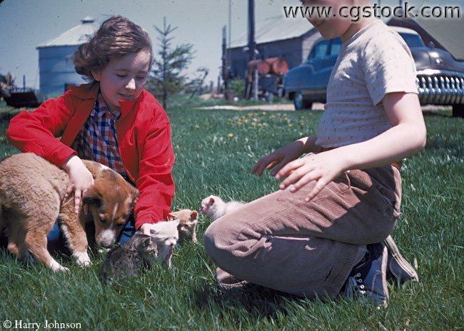 Children Playing with a Puppy and Kittens